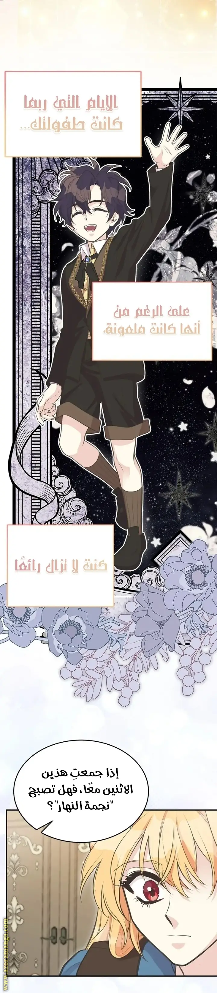 الصفحة 24