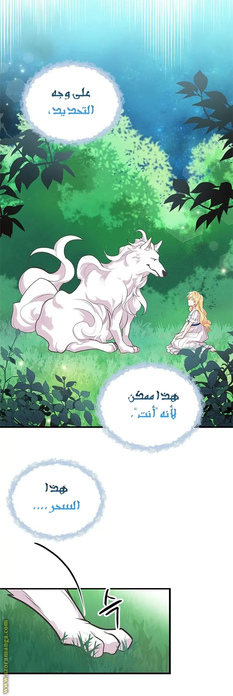 الصفحة 15
