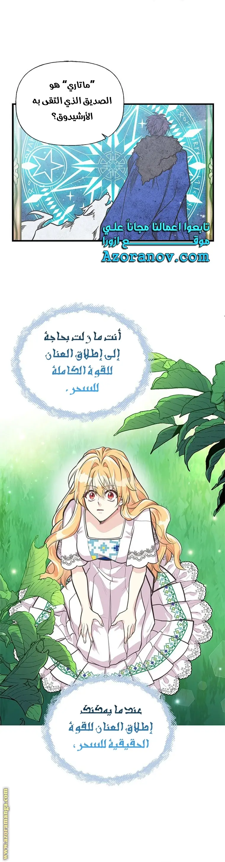 الصفحة 17