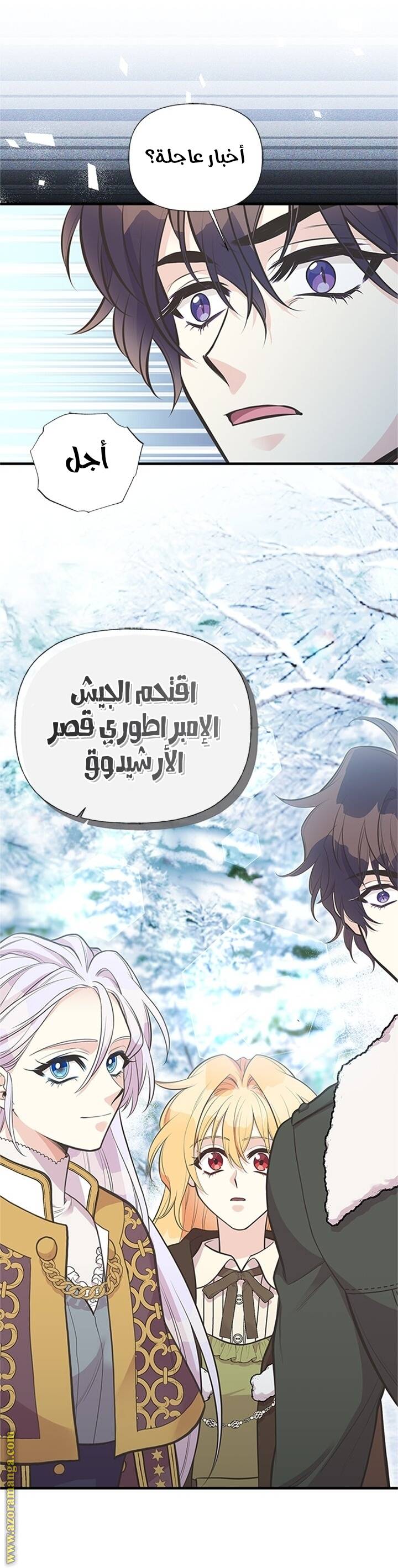 الصفحة 13