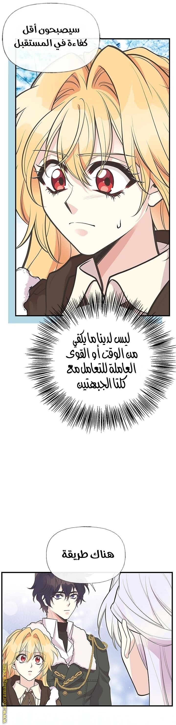 الصفحة 17
