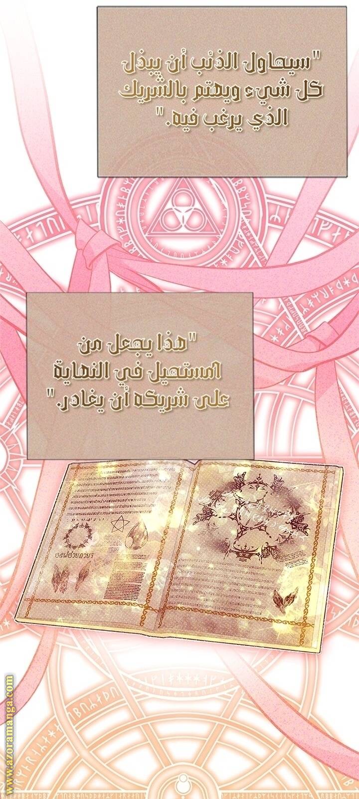 الصفحة 24