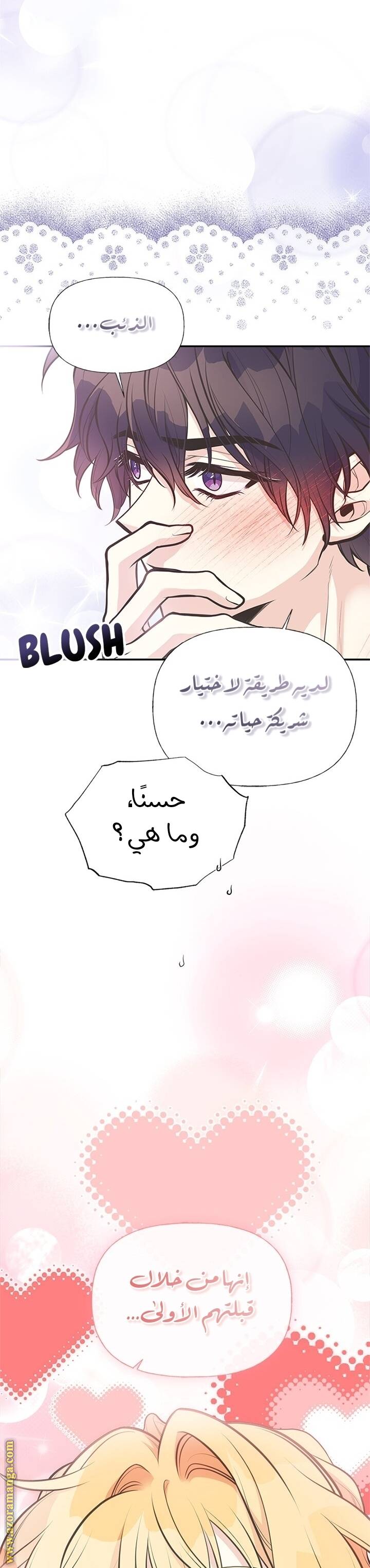 الصفحة 30