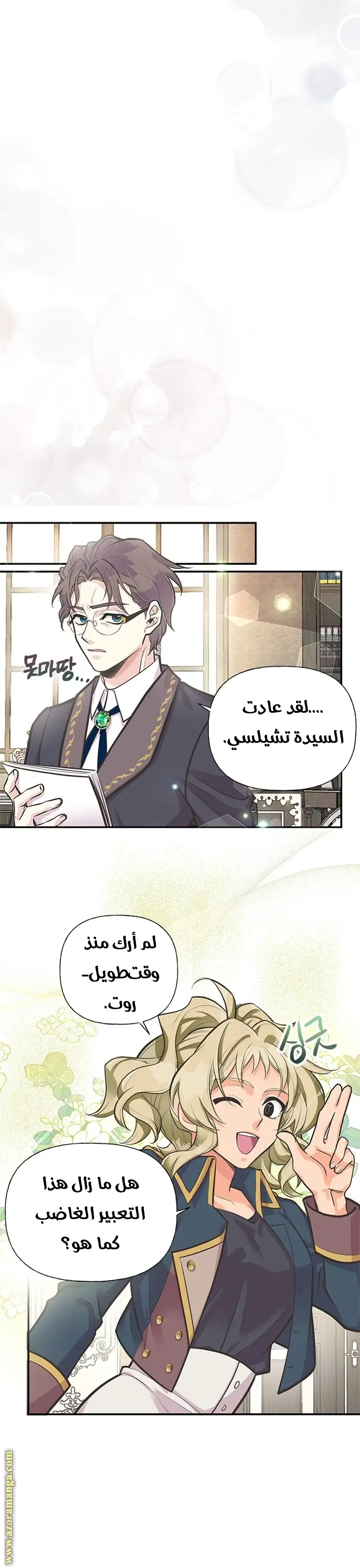 الصفحة 13