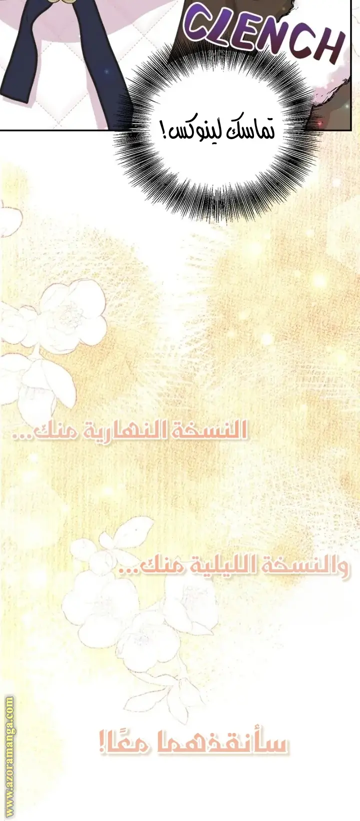 الصفحة 27