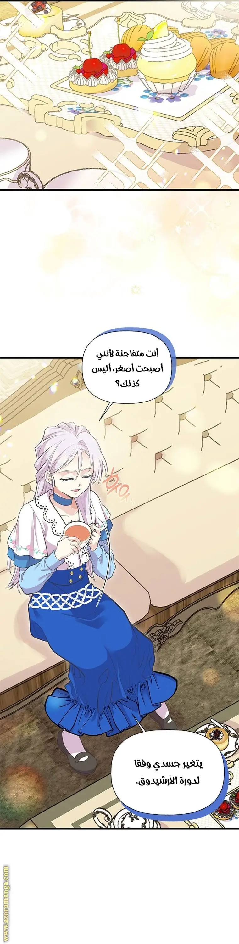 الصفحة 17