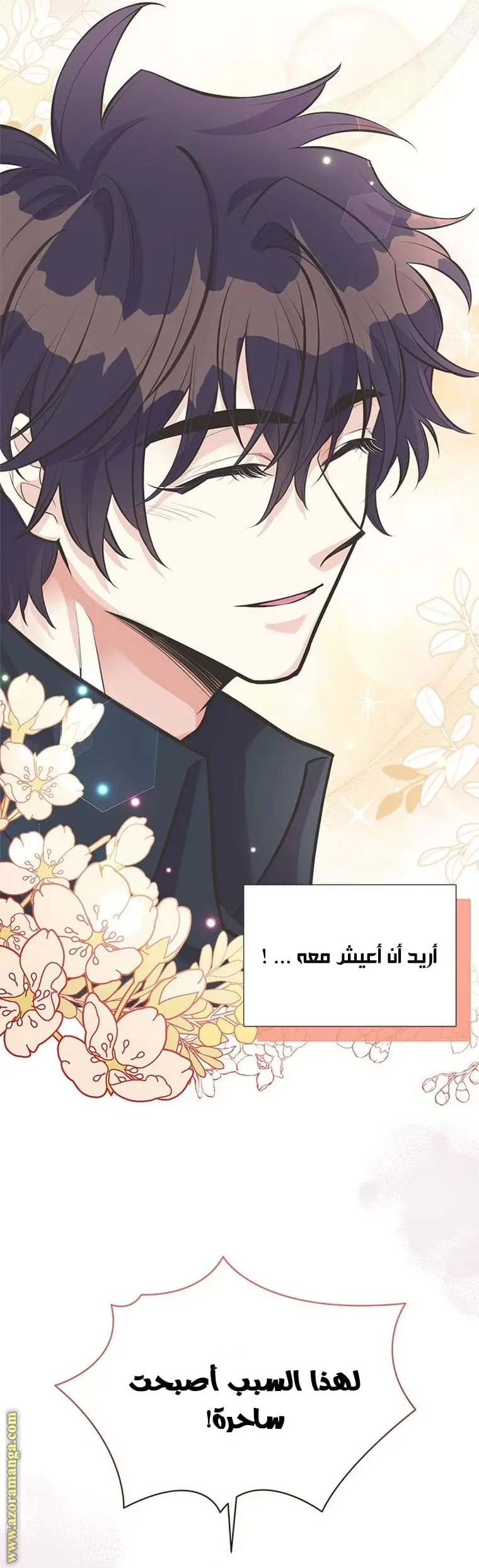 الصفحة 27