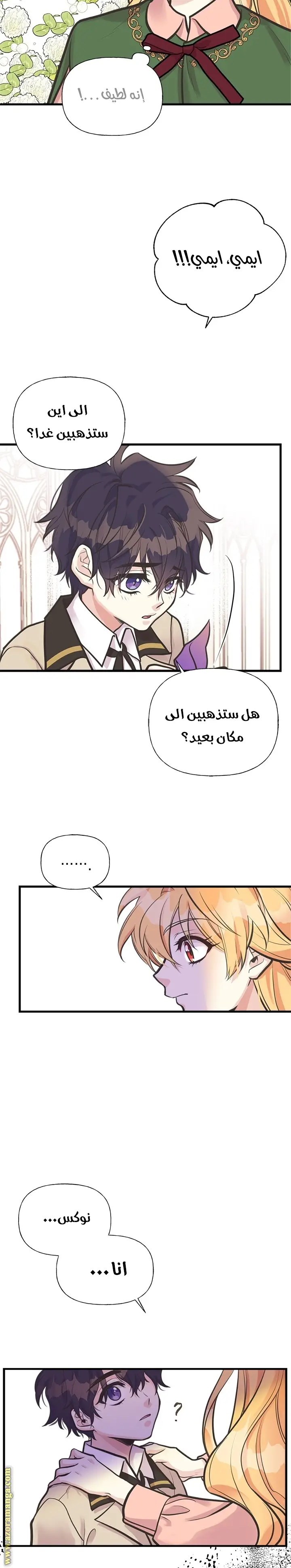 الصفحة 13