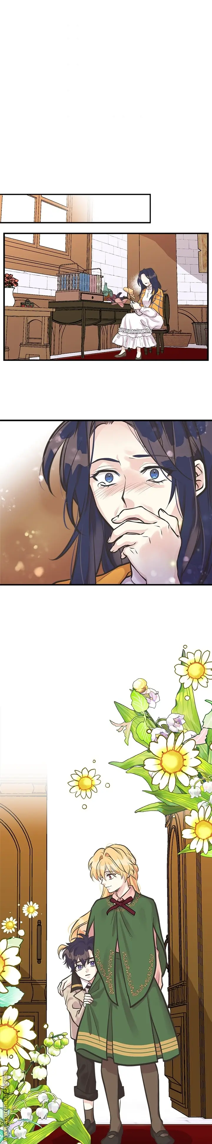 الصفحة 17