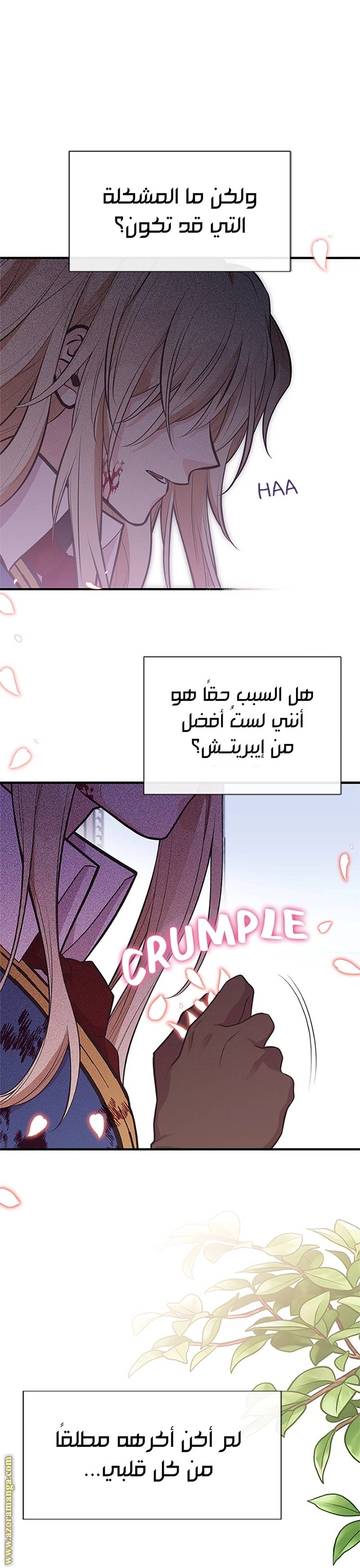 الصفحة 26