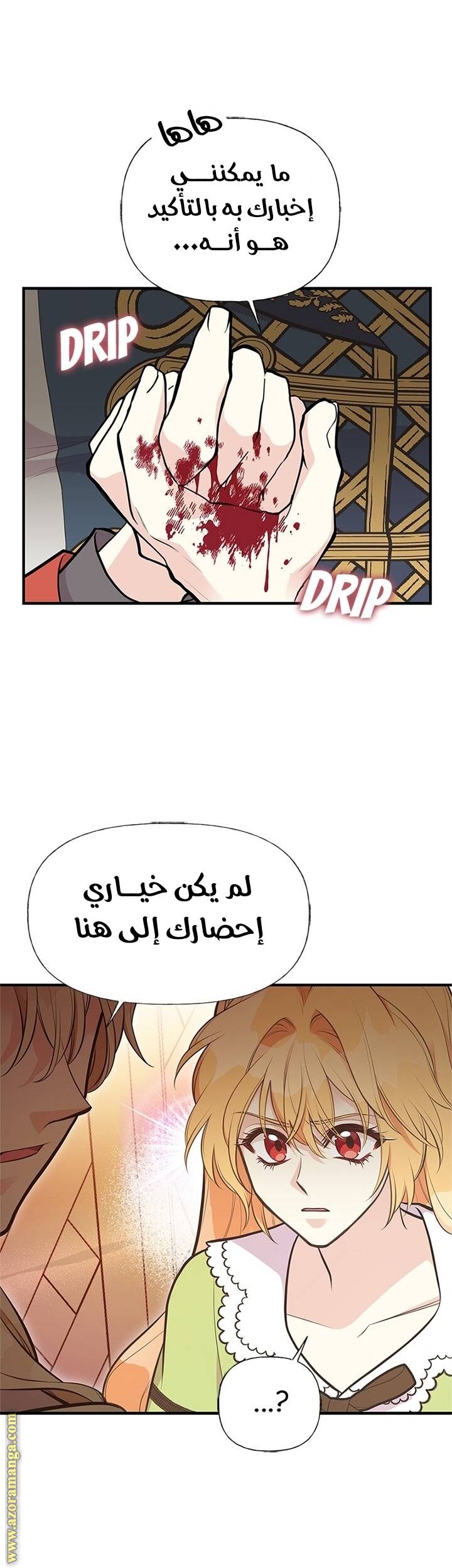 الصفحة 19