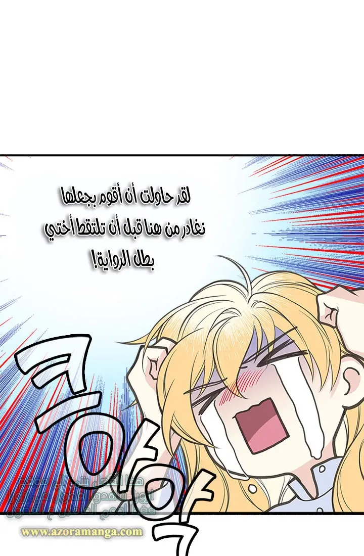 الصفحة 24