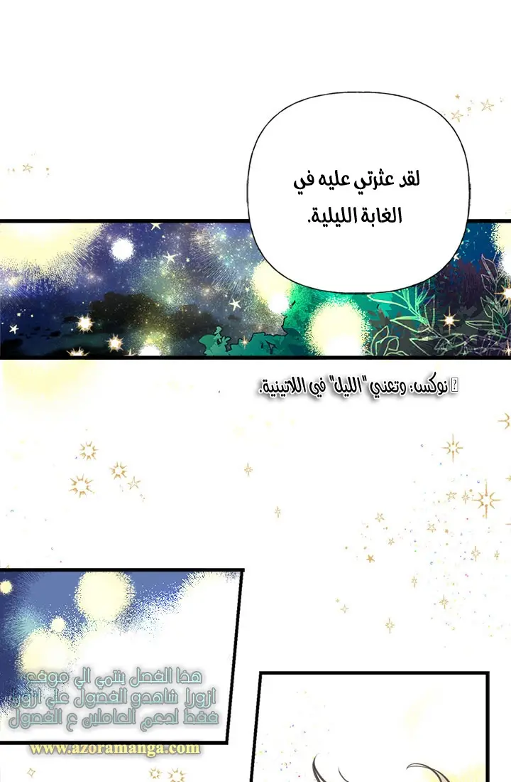 الصفحة 28
