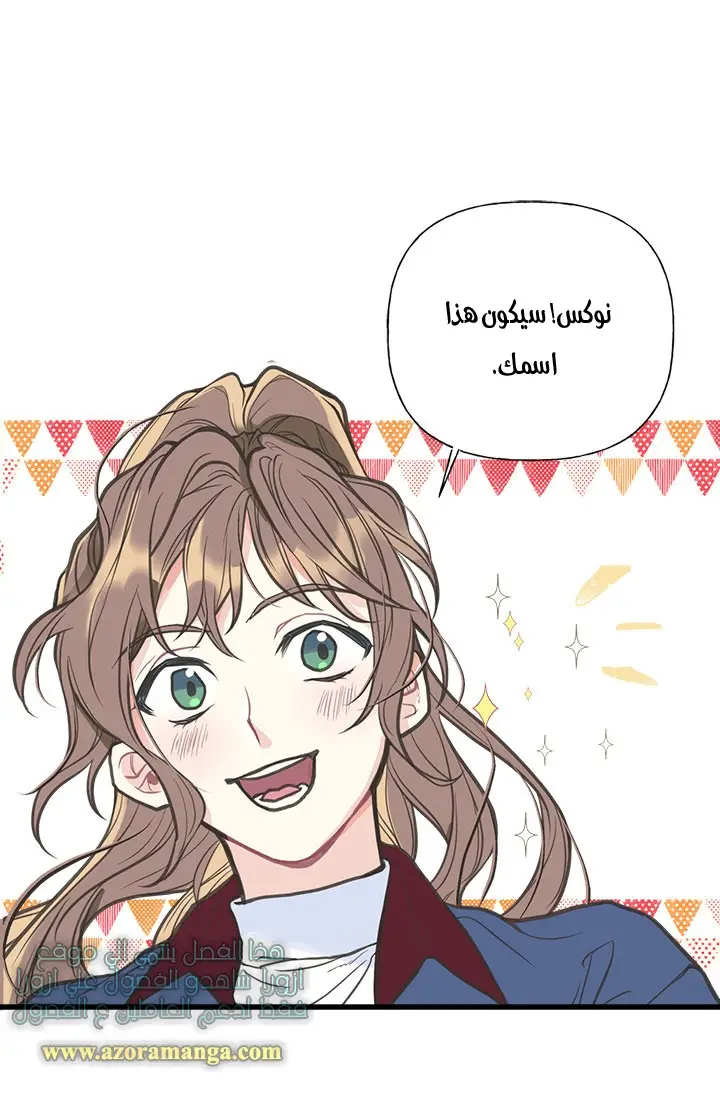 الصفحة 31