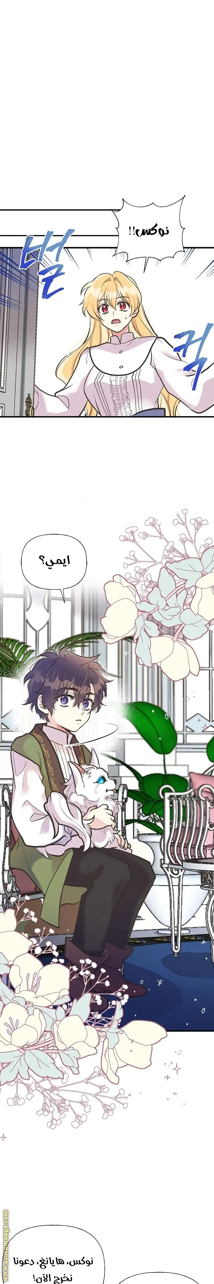 الصفحة 12