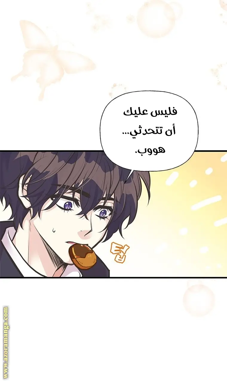 الصفحة 19