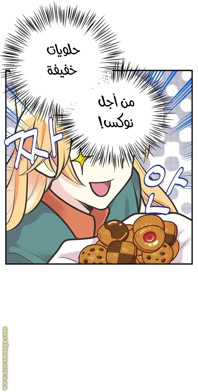 الصفحة 20