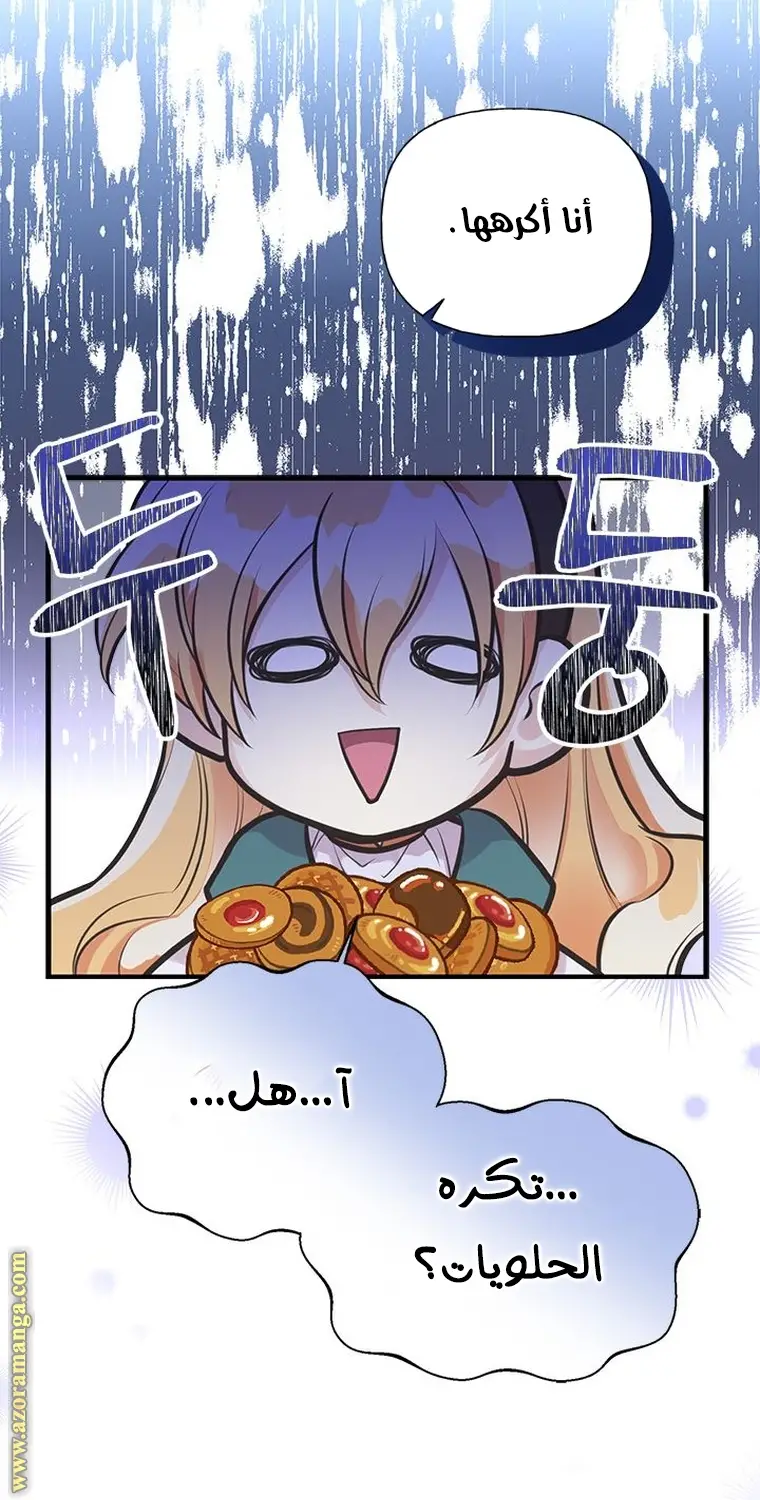 الصفحة 25