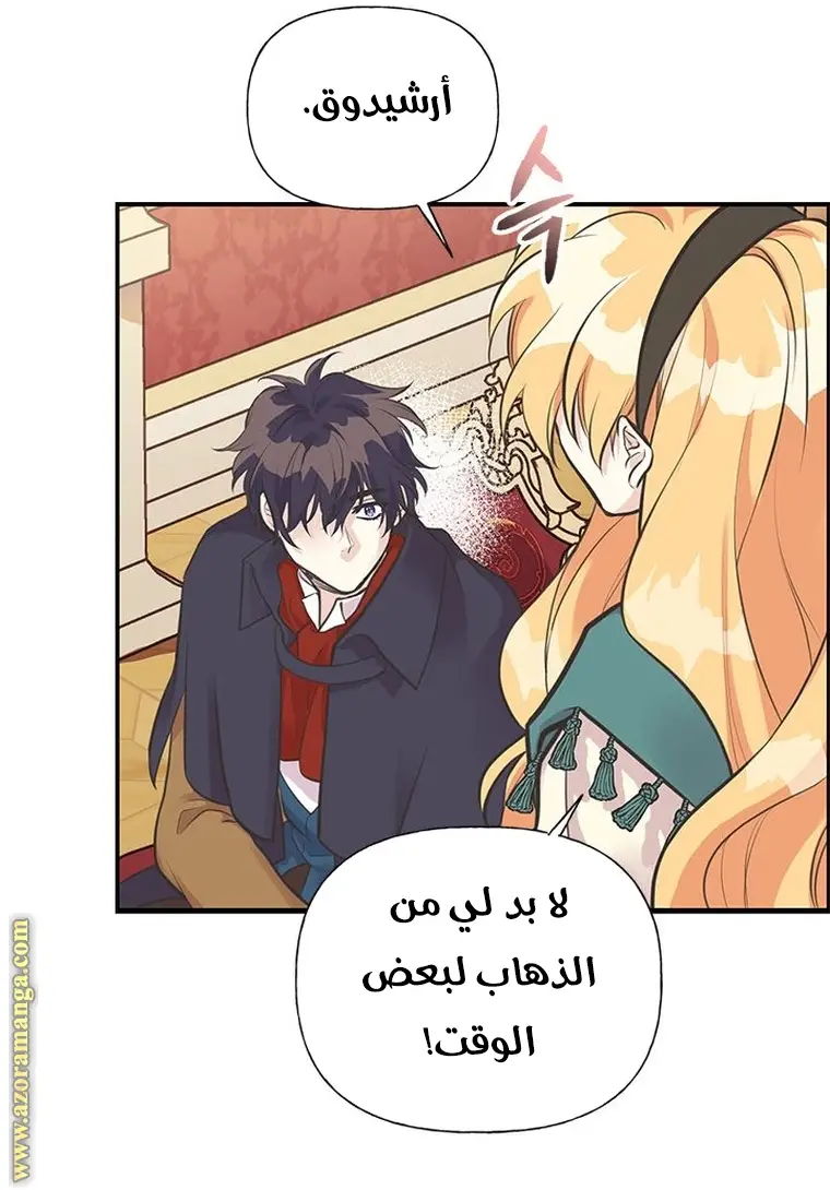 الصفحة 41