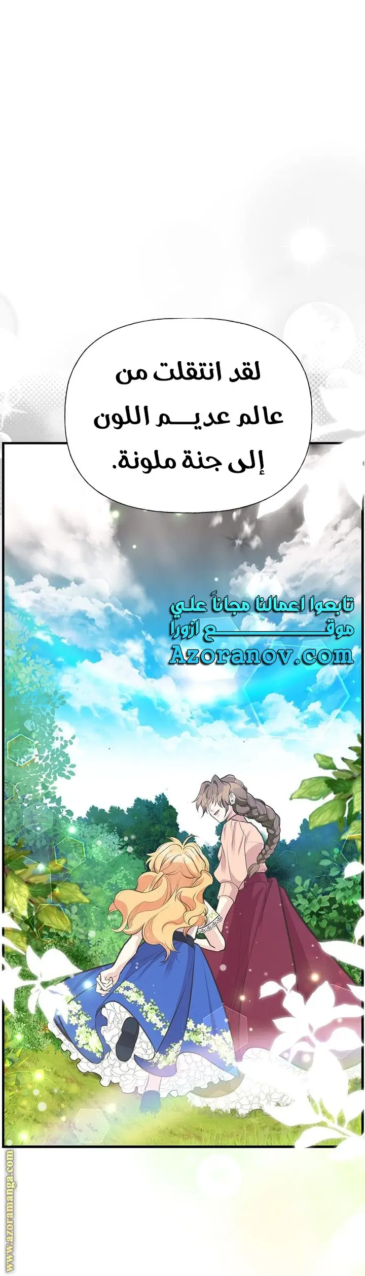 الصفحة 17