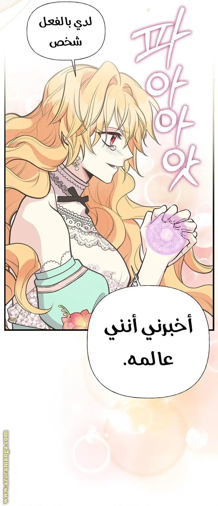 الصفحة 27