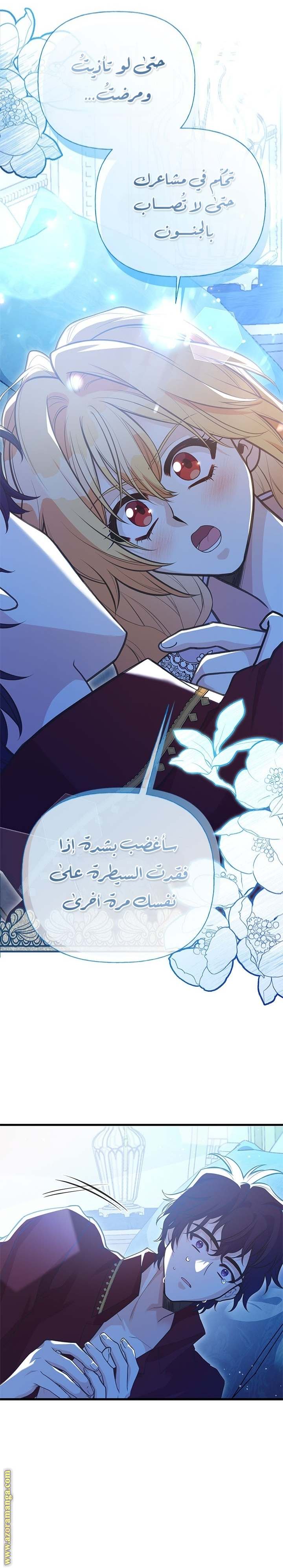 الصفحة 13