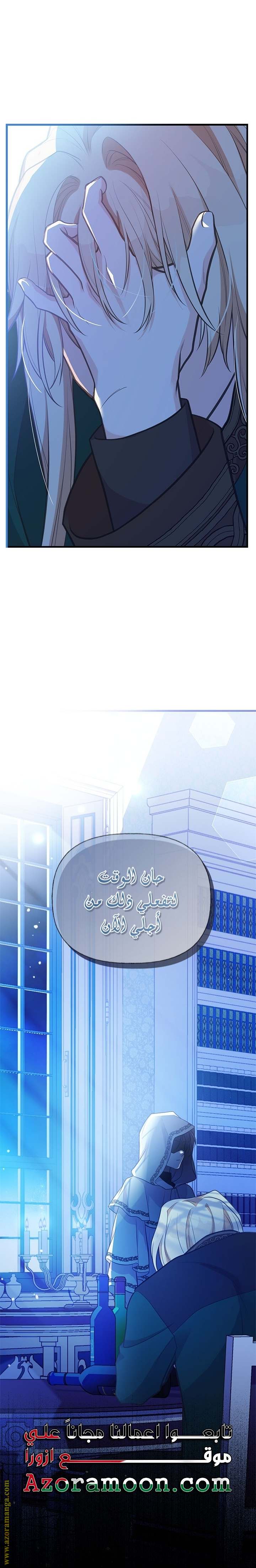 الصفحة 17