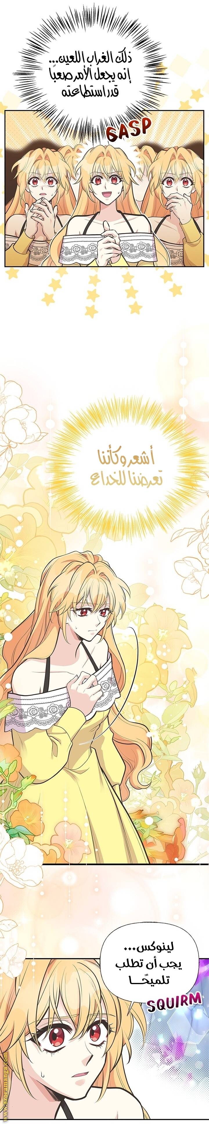 الصفحة 15