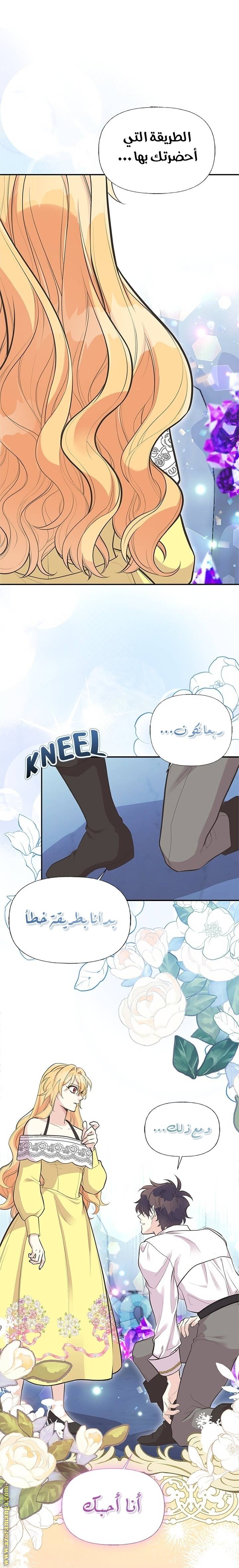 الصفحة 20