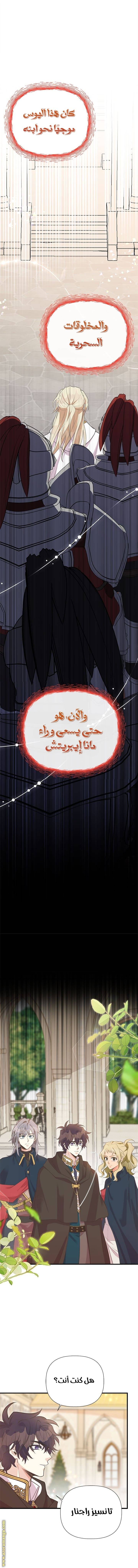 الصفحة 13
