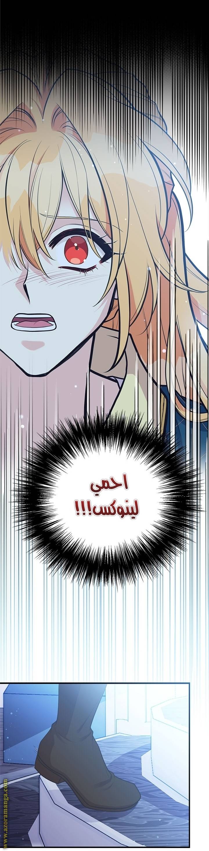 الصفحة 32
