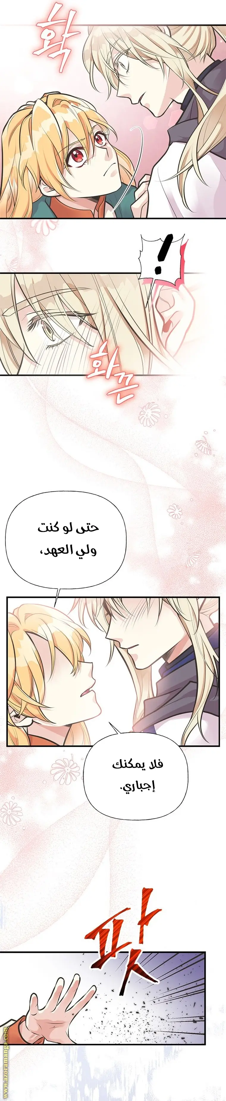 الصفحة 12