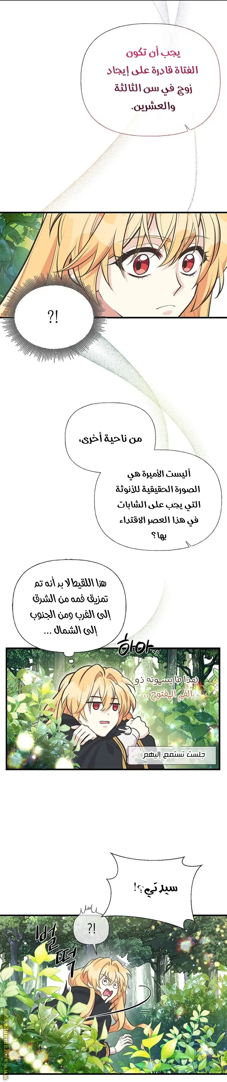الصفحة 14