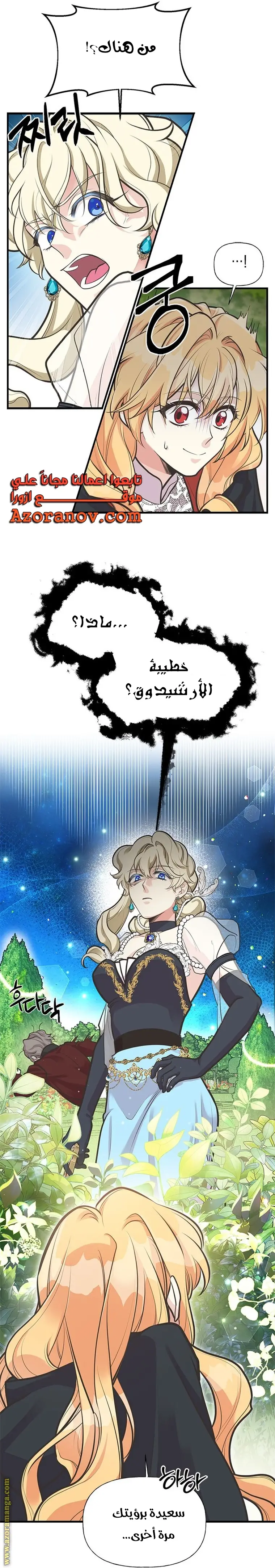الصفحة 17
