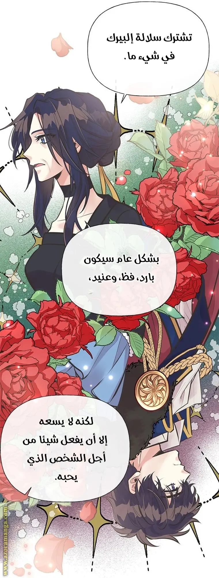 الصفحة 12