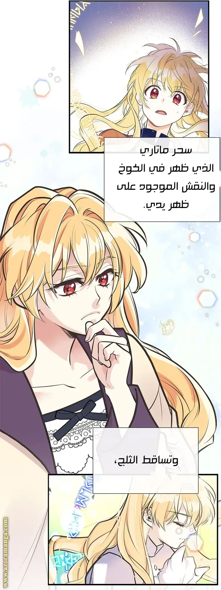 الصفحة 29