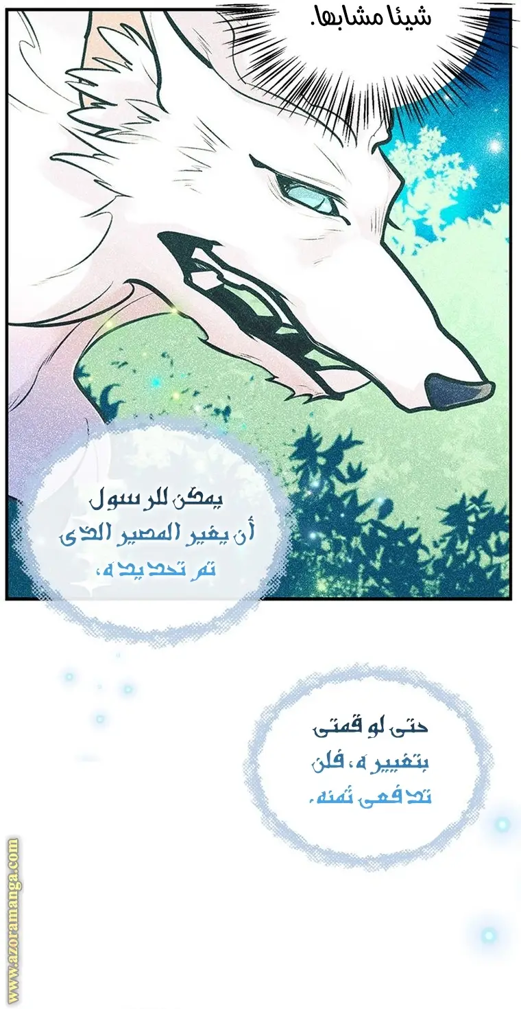 الصفحة 41