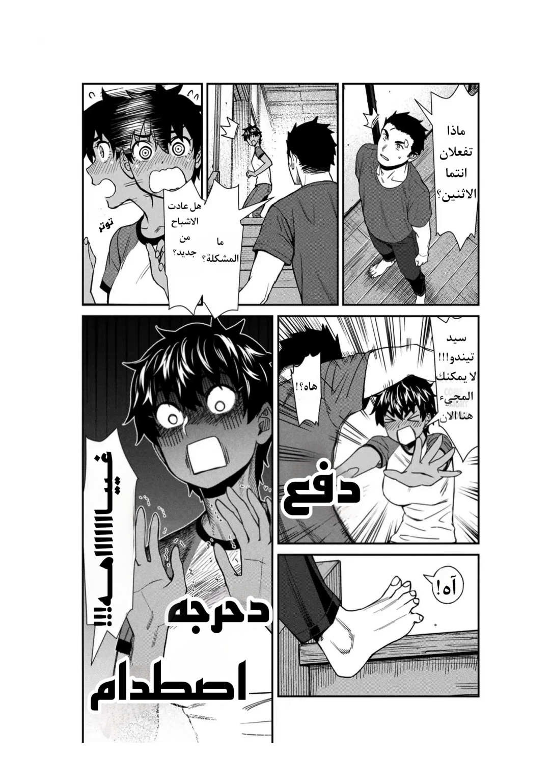 الصفحة 11