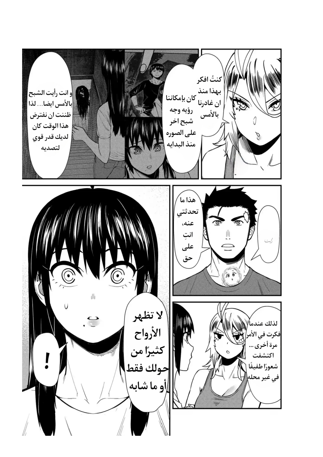 الصفحة 13