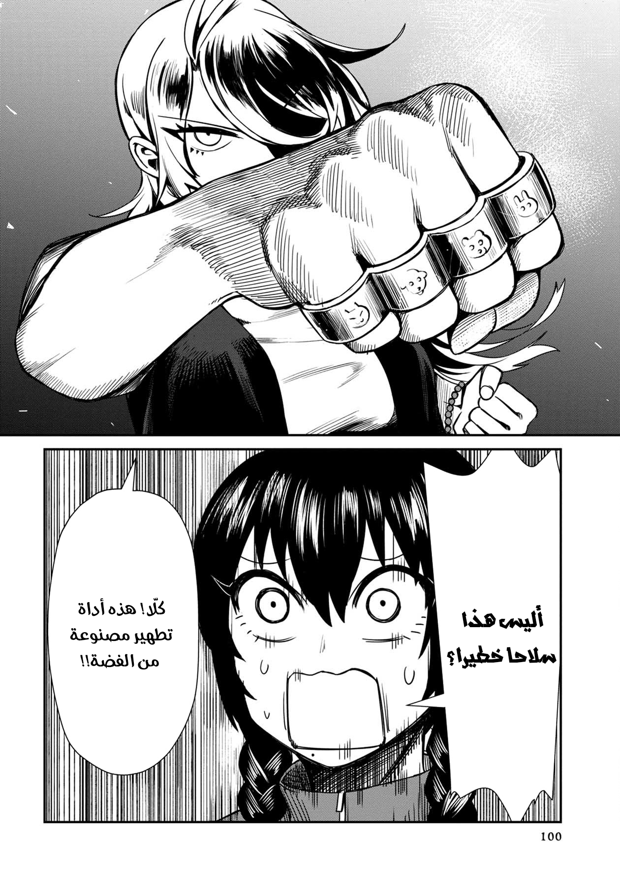 الصفحة 12