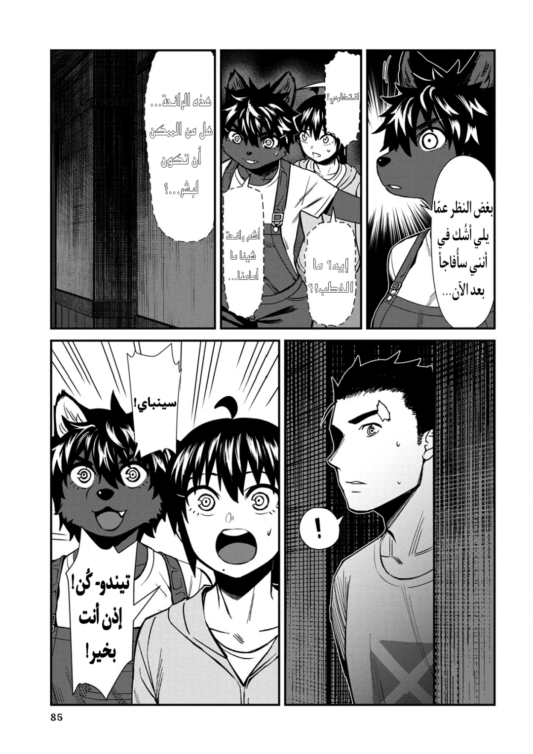 الصفحة 17