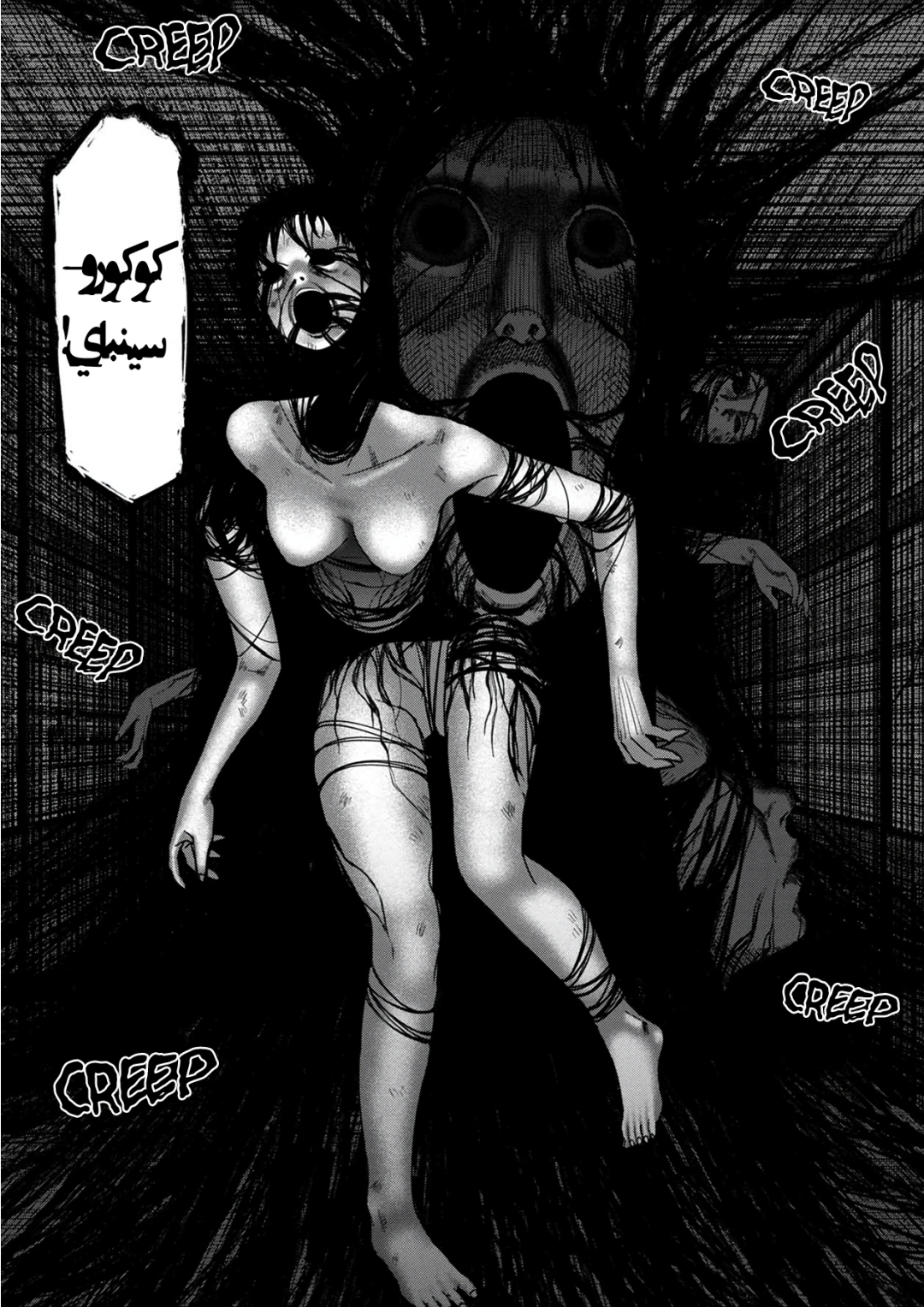 الصفحة 6