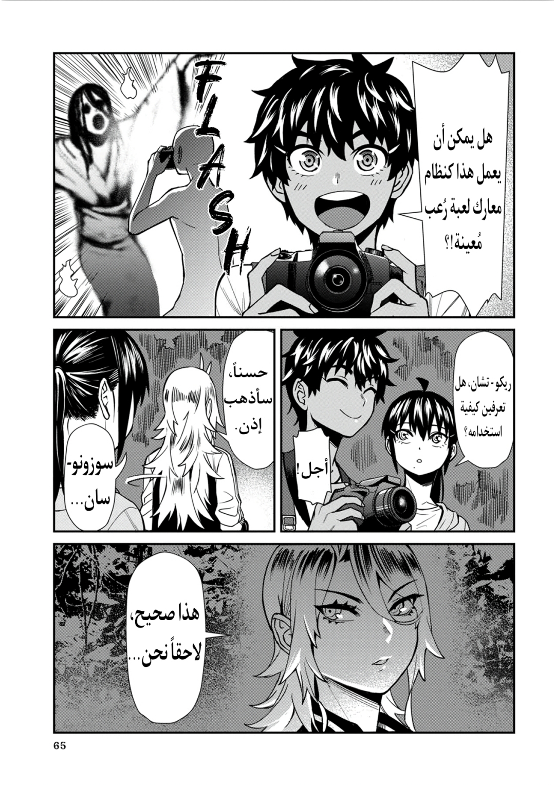 الصفحة 13