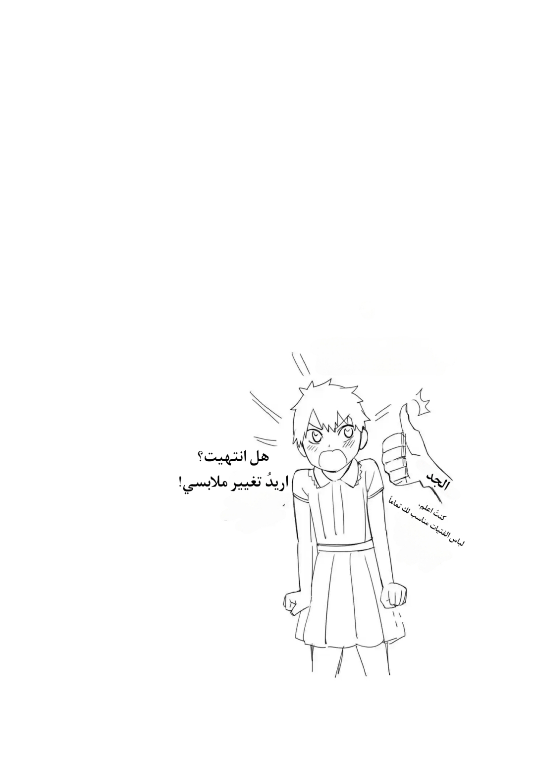 الصفحة 20