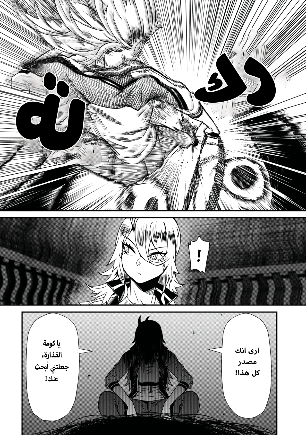 الصفحة 14