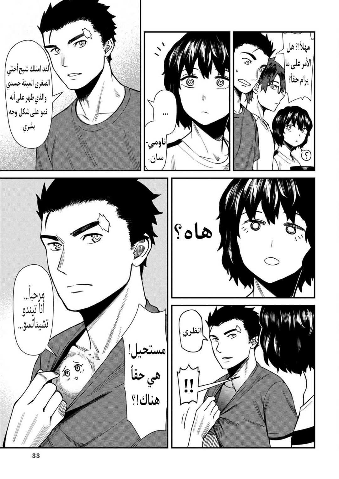 الصفحة 13