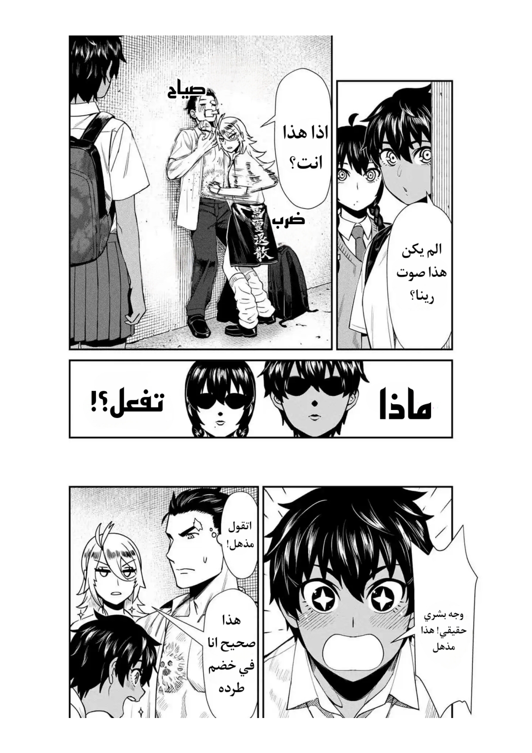 الصفحة 12