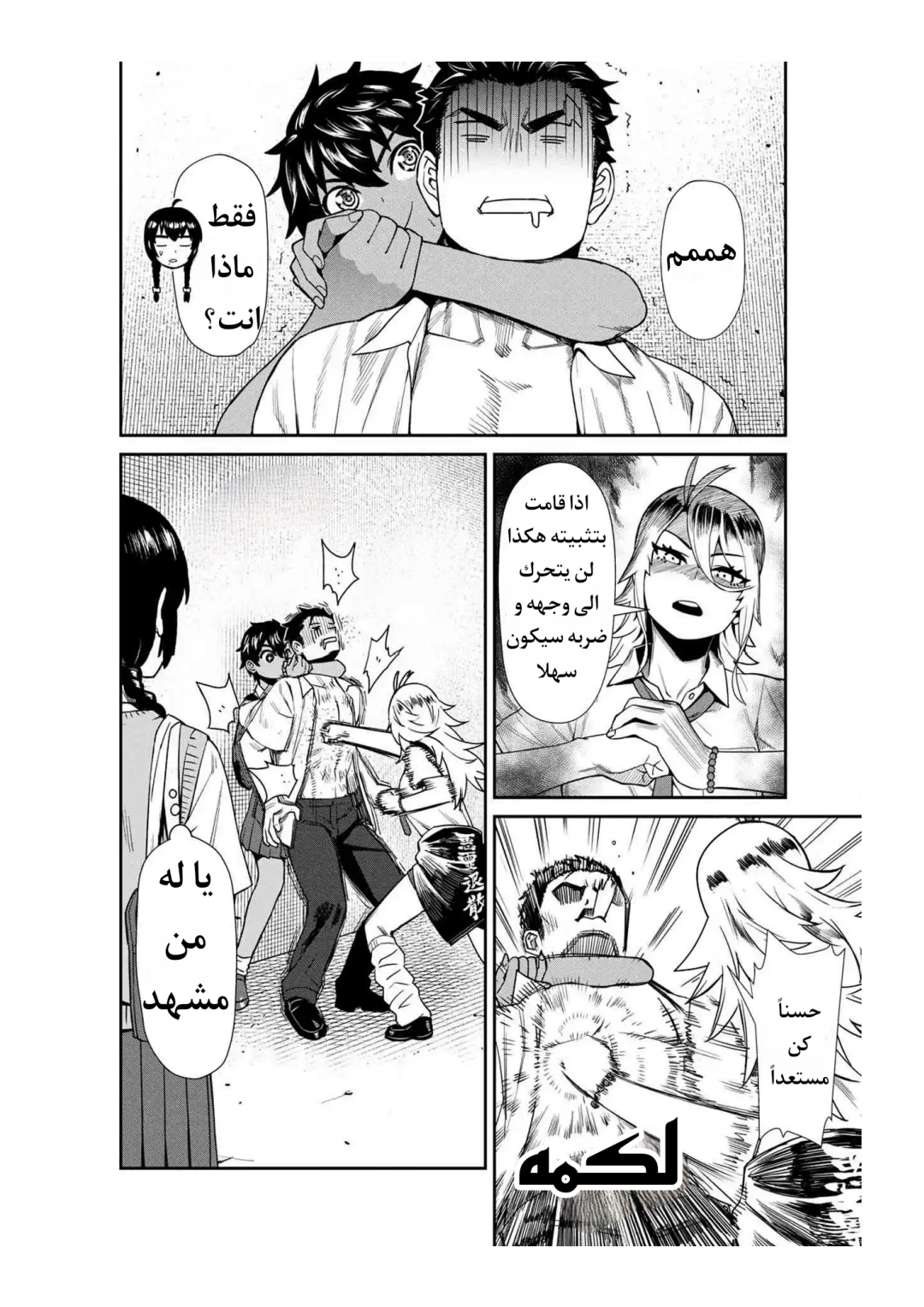 الصفحة 14