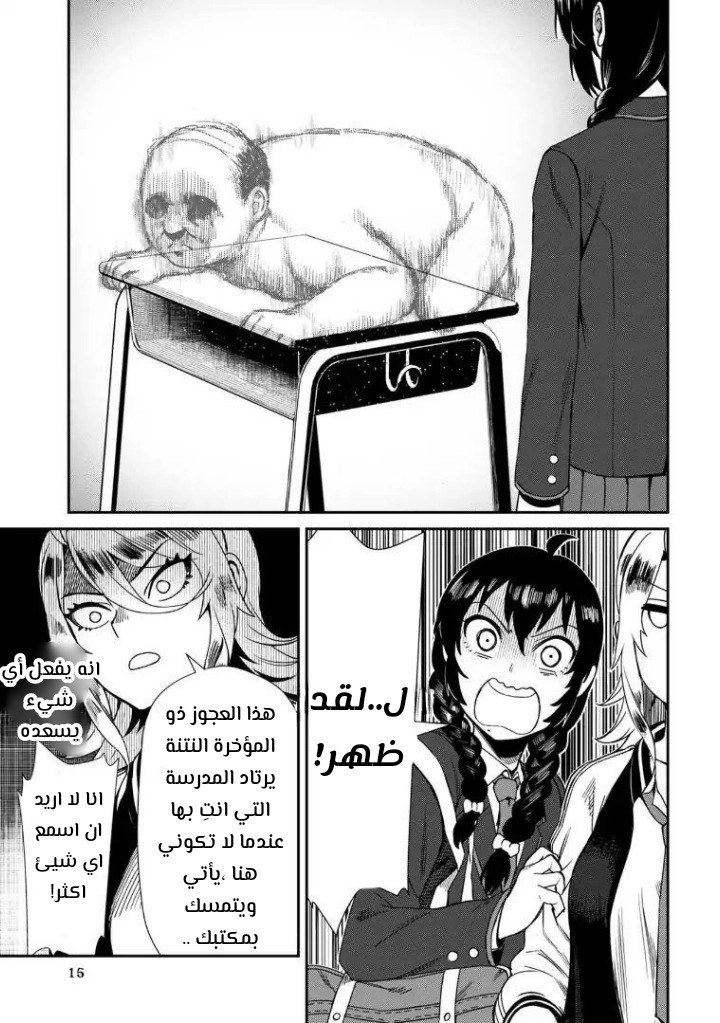 الصفحة 14