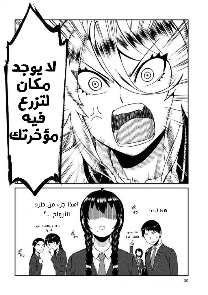 الصفحة 19